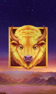 Buffalo's Sun